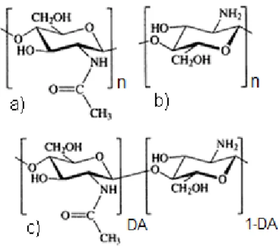 Figure 2. Chemical structure of a) chitin, b) chitosan and c) chitosan partially deacetylated  [7]