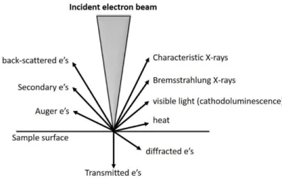Figure 14. Types of interactions between electrons and sample [41]. 