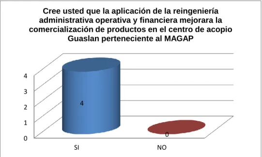 Gráfico 9: Aplicación de la reingeniería 