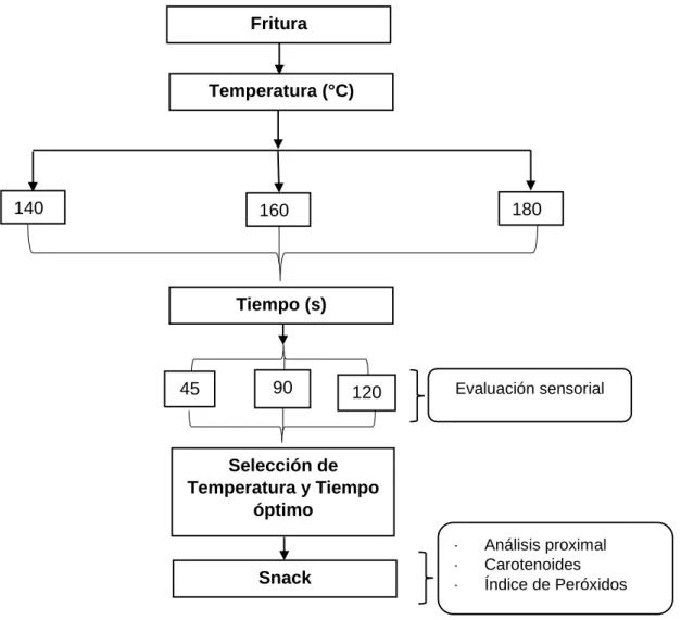 Cuadro 7: Variables del proceso de fritura  Variables 