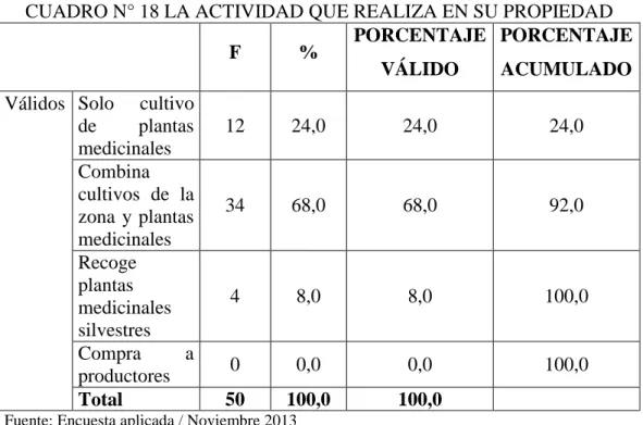 CUADRO N° 18 LA ACTIVIDAD QUE REALIZA EN SU PROPIEDAD 