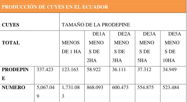 Tabla 10 PRODUCCIÓN DE CUYES EN EL ECUADOR 