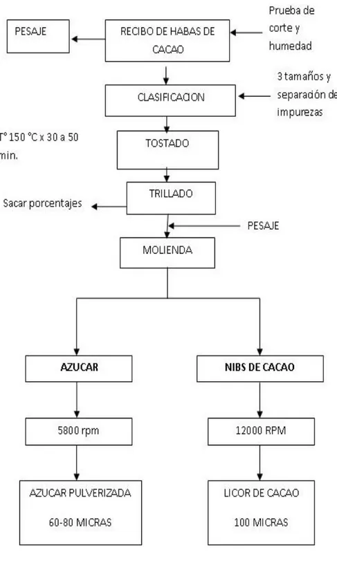 Gráfico 8 : DIAGRAMA DE PROCESOS 