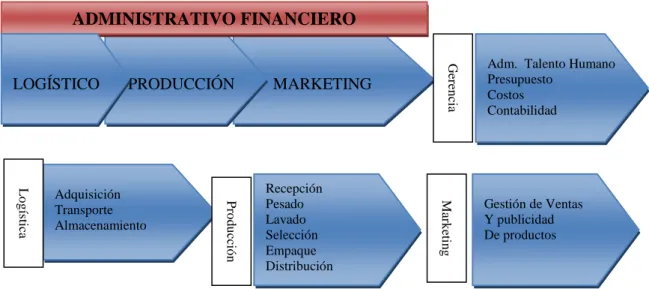 Gráfico 9.  Cadena de Valor  Realizado por: La autora 