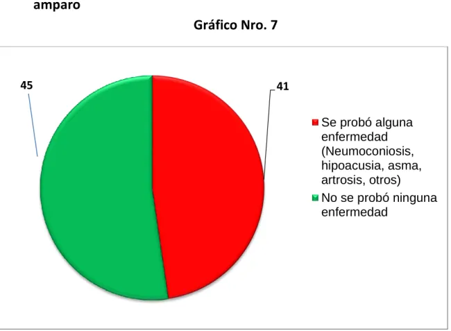 Gráfico Nro. 7 