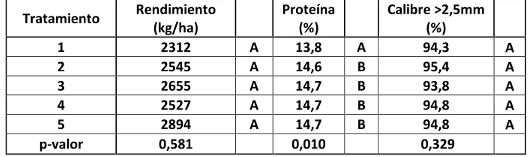 Tabla  1.  Valores  promedio  de  rendimiento,  proteína  y  calibre  en  función  de  los  tratamientos  en  evaluación (1: Testigo, 2: 80 kg N ha -1  como urea en pre siembra, 3: 80 kg N ha -1  pre siembra y 20 kg  N ha -1  de aplicación foliar en hoja b