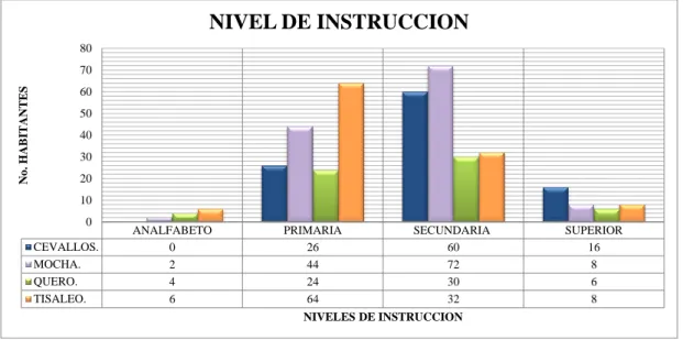 Cuadro No 8: Nivel de instrucción de la población encuestada 