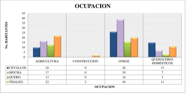 Gráfico No 9: Ocupación de la población encuestada 