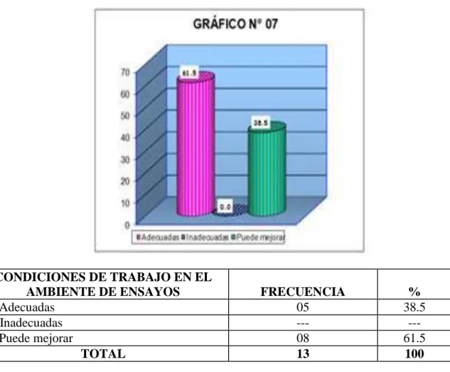 CUADRO N° 07  7.  Condiciones de trabajo en el ambiente de ensayos. 