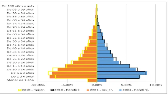 Gráfico Nº 2. Pirámide Poblacional 