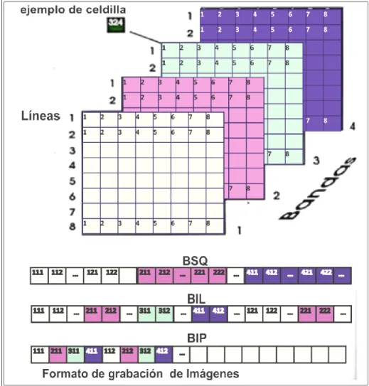 Figura 5. Formatos digitales de las Imágenes. 
