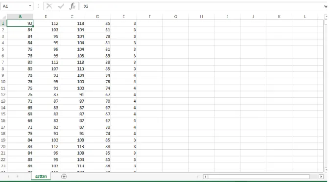 Figura 8.  Datos Sattrn para el entrenamiento. 