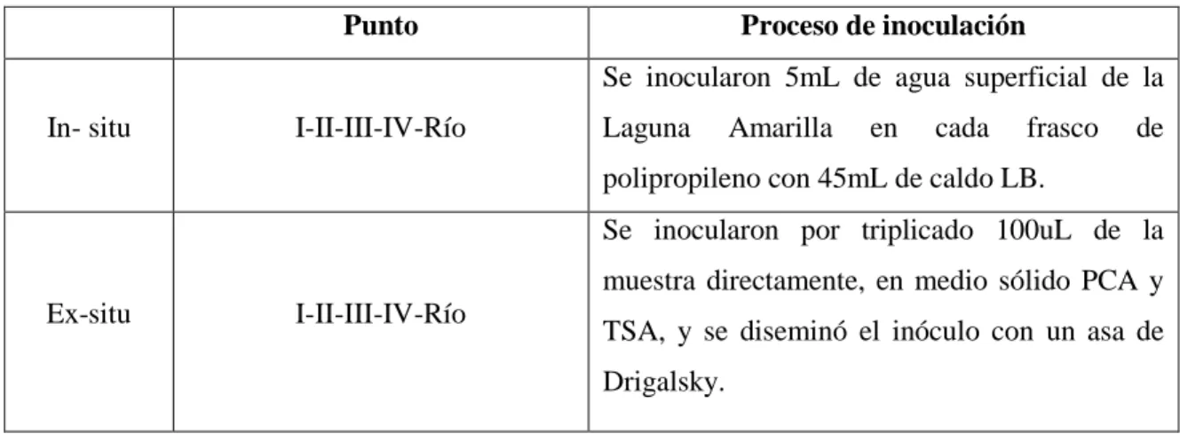 Tabla 6-2: Procesamiento de inoculación de las muestras 