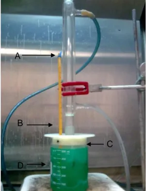 Figura 6 A) Condensador B) Termómetro, C) Base para sujetar muestras, D) Vaso de precipitado 500ml 