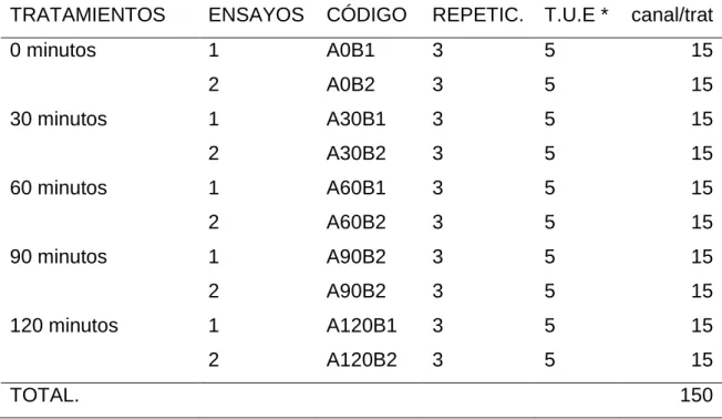 Cuadro 9.  ESQUEMA DEL EXPERIMENTO. 