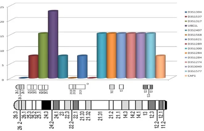 Figure 1. Percentages of LOH for 17 microsatellite markers in 13 samples of human lung cancer