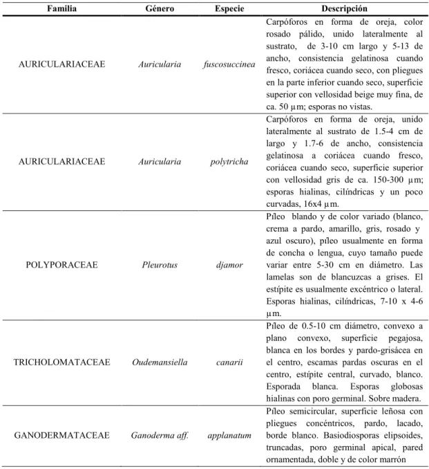 tabla 1 Especies de Macrohongos comestibles y medicinales en la estación biológica de la  Universidad del Valle