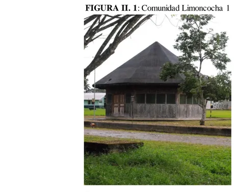 FIGURA II. 1: Comunidad Limoncocha 1 