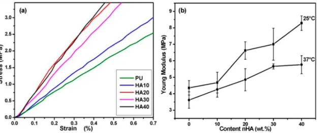 Figure 1 shows PU morphologies and composites before immersion tests which  were taken to examine nHA distribution in PU additionally