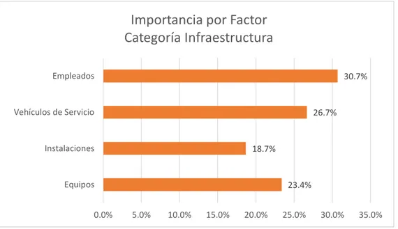 Figura 32: Nivel de Importancia por factor en la Categoría Infraestructura 