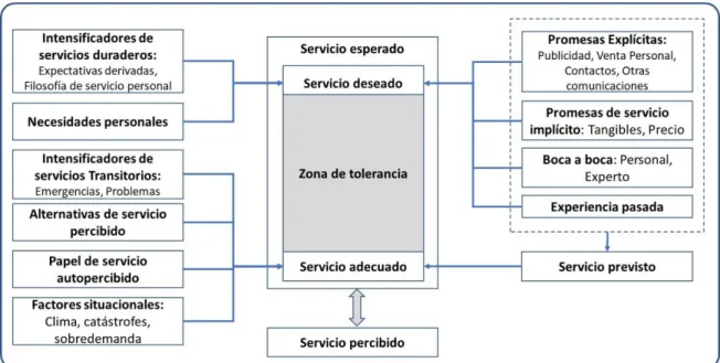 Figura 24: Naturaleza y determinantes de las expectativas de los clientes de servicio 