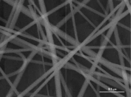 FIG. 5: Micrografía del compósito PVP-Óxido de Cromo obtenida en SEM.