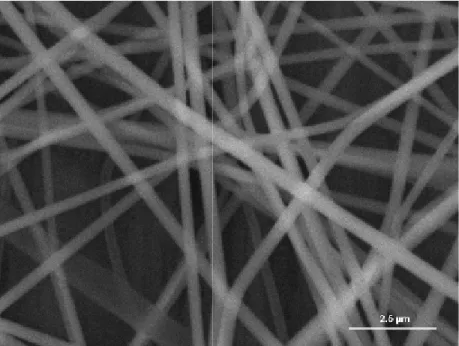 FIG. 9: Micrografía del compósito PVP- Nitrato de Cromo III obtenida en SEM.