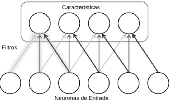 Figura 2.4: Representación de los filtros y el mapa de características como neuronas en una capa de convolución (Buduma, 2016).