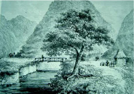 Figura 9. Vista de Juntas.
