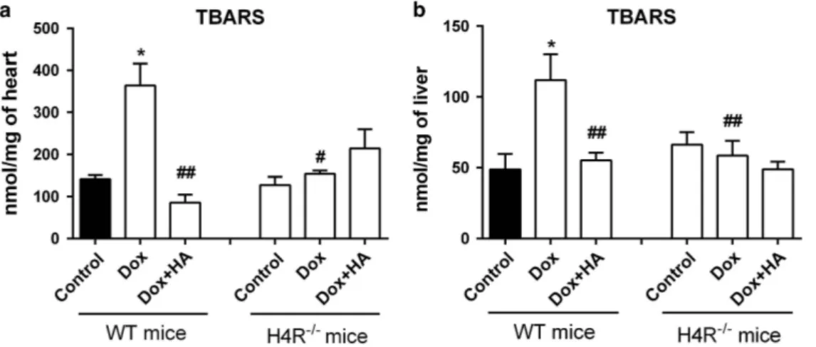 Figure 4. Doxorubicin and histamine effects on TBARS levels of H4R − / − mice compared with WT Balb/c mice