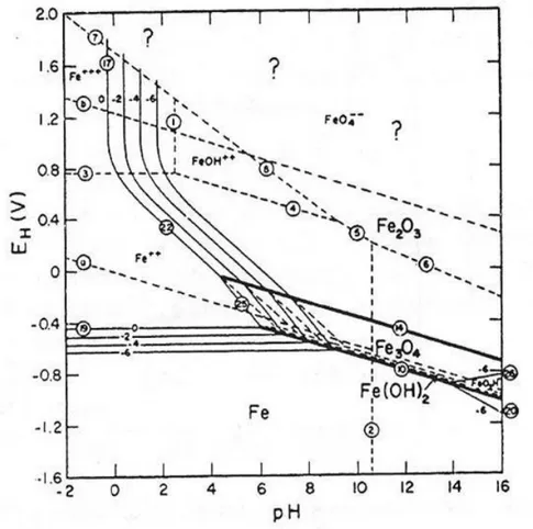 Fig. 1.5. Diagrama de equilibrio electroquímico del sistema hierro-agua (20). 