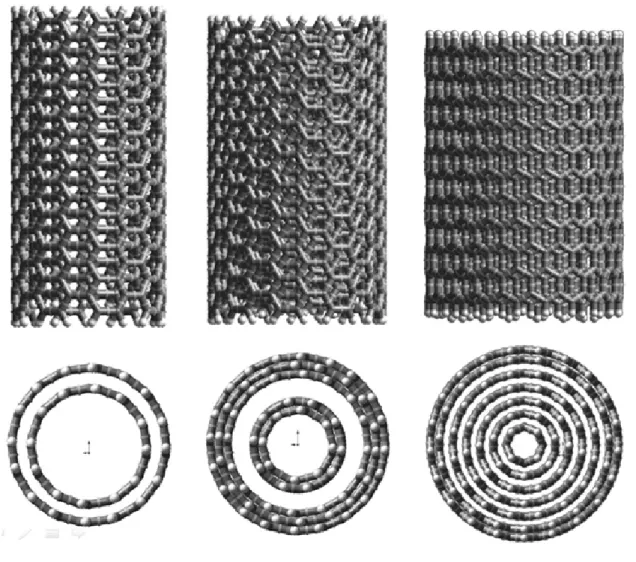 Figura 1. Nanotubos multicapa (MWCNT ) con 2, 5 y 7 capas . 
