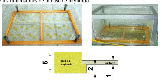 Figura 2.1. Izq. portaobjetos con cinta kapton sobre la base de naylamid. Der. 