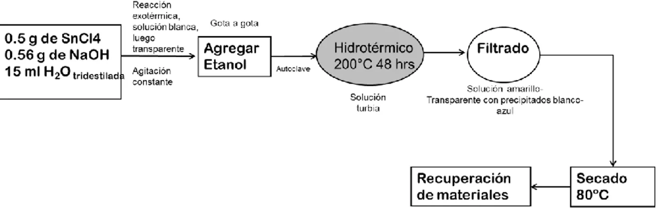 Figura 2. Diagrama del procedimiento experimental en una síntesis típica. 