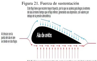 Figura 21. Fuerza de sustentación 