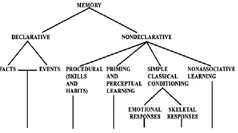 Figura 3.1.1. Taxonomía del sistema de memoria a largo plazo en los mamíferos. Modificado de Squire, 2004, Pág