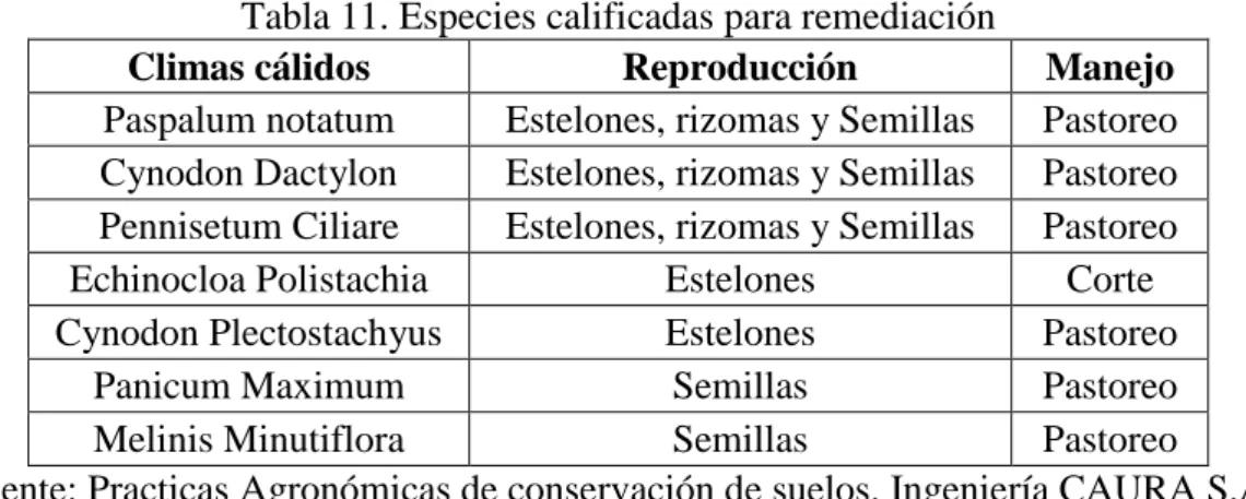 Tabla 11. Especies calificadas para remediación 