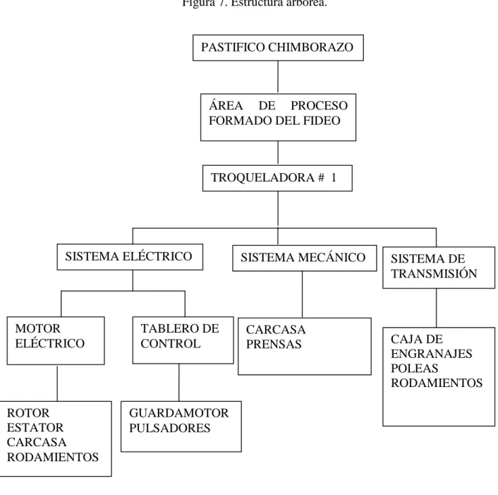Figura 7. Estructura arbórea.  