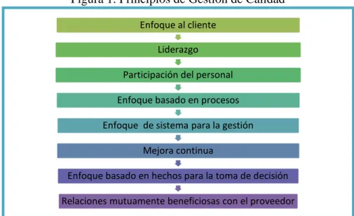 Figura 1. Principios de Gestión de Calidad 