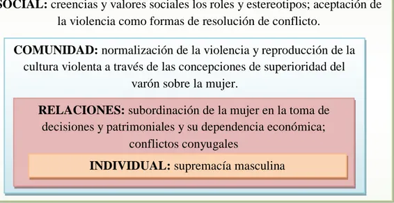 Figura 1: Concepción etiológica de violencia de género. 