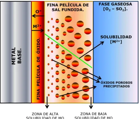 Figura 1. Precipitación de óxidos MO porosos en la película de sal  fundida.   