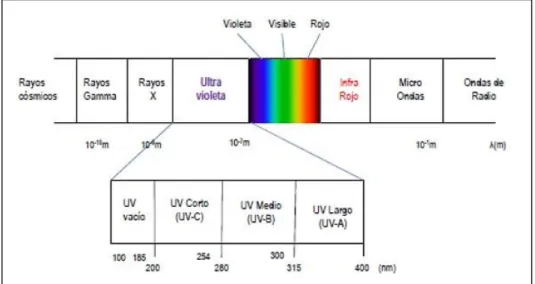Figura 3: Espectro electromagnético. Recuperado de: 