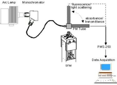 Figure 3.5: Schematic representation of the configuration used for kinetic studies