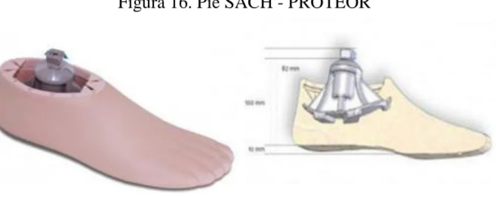 Figura 16. Pie SACH - PROTEOR 