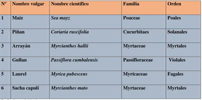 Tabla 4: Registro de semillas recolectadas 