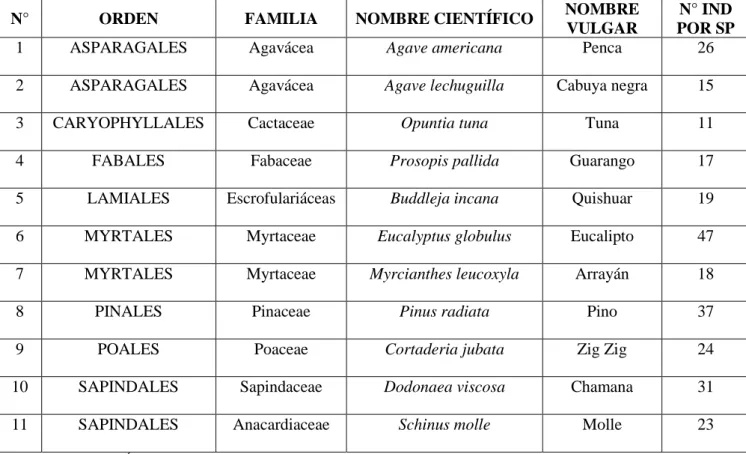 Tabla 5: Vegetación encontrada en el transecto número 2 