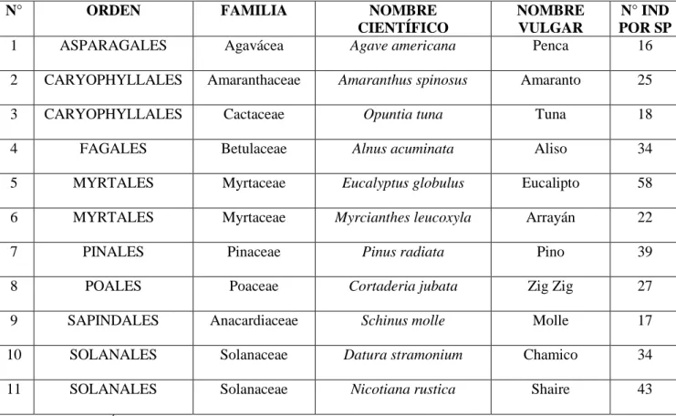 Tabla 7: Vegetación encontrada en el transecto número 4 