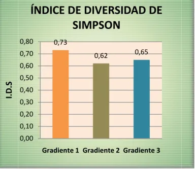 Gráfico 4. Índice de 