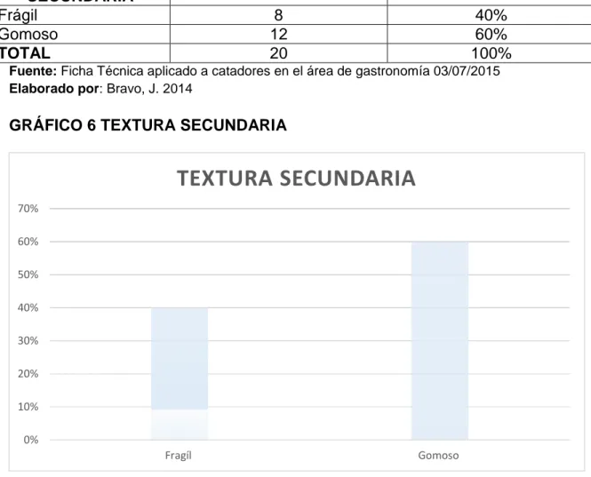 GRÁFICO 6 TEXTURA SECUNDARIA  