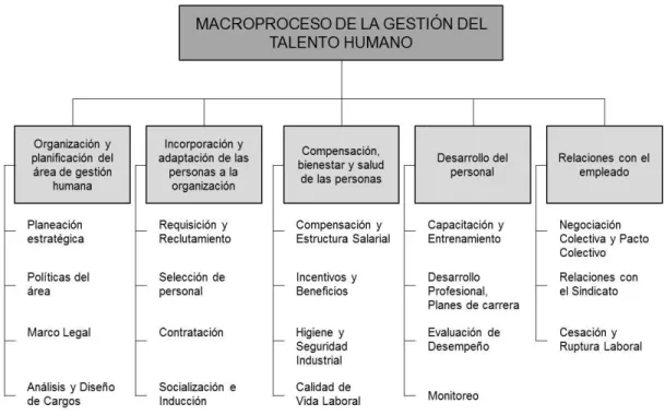 Figura 5.  Macro procesos de la Gestión del Talento Humano  